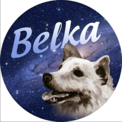 Belka (BLK)