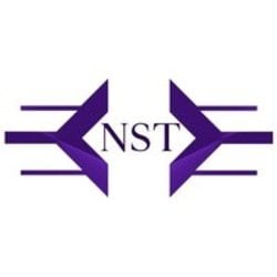 NewSolution 2.0 (NSTE)
